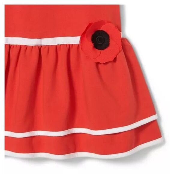 Janie And Jack Dropwaist Poppy Dress Size 4T - Picture 3 of 8